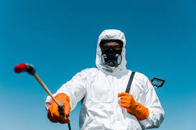 Best Organic or Eco-Friendly Pest Control  in Slater Marietta, SC